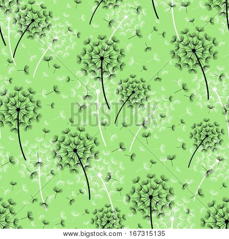 Beautiful nature green background seamless pattern with black white dandelion and flying fluff. Floral seamless pattern with summer or spring flowers. Stylish trendy wallpaper. Vector illustration