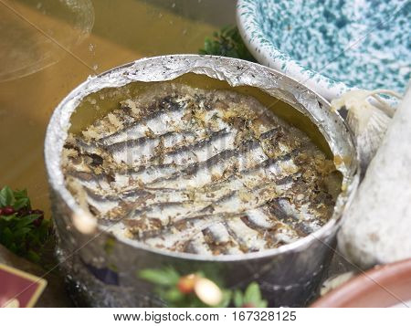 Anchovy Fresh Marine Fish.Appetizer in a market