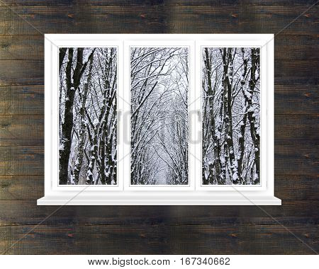 snow-clad crowns of trees in the window in the dark room