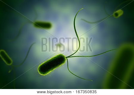 Green bacterium with flagella microscopic view in fluid illustration