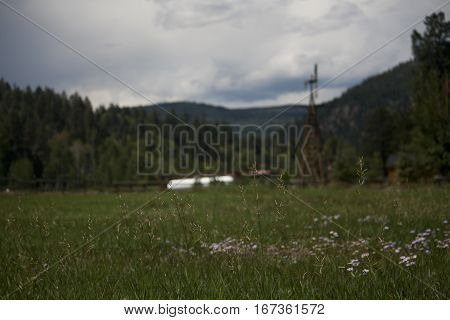 A background image with grass in the foreground and a soft focus windmill in the background in a green valley of the Colorado mountains.
