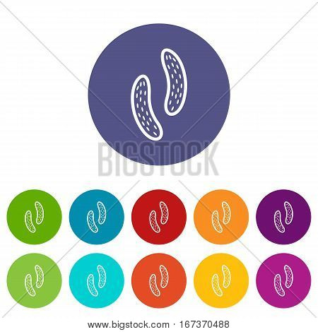 Epithelial cell set icons in different colors isolated on white background