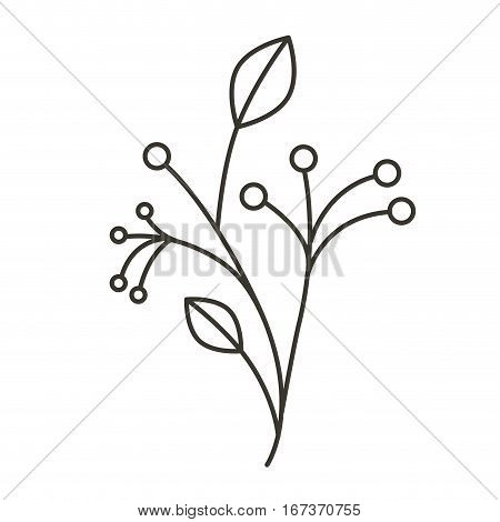 silhouette ramifications tree with stem and branches vector illustration