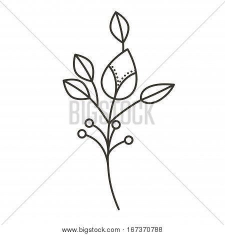 silhouette ramifications flower with stem and branches . Vector illustration