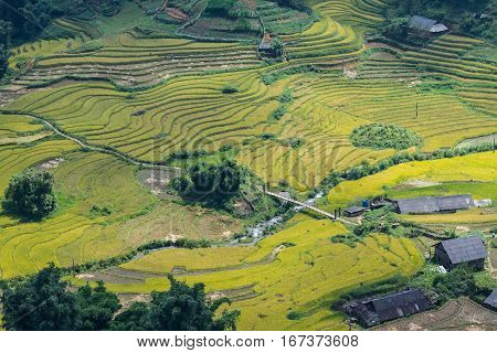 Rice fields on terraced in rainny season at Mu Cang Chai, Yen Bai, Vietnam. Rice fields prepare for transplant at Northwest Vietnam