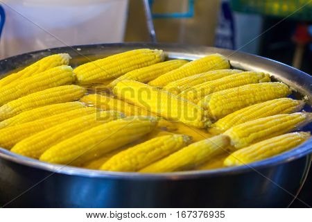 Boiled  Corn For Retail Sale