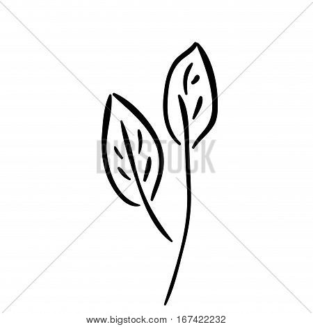 silhouette leaves with ramifications icon flat vector illustration