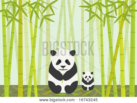 Pandas comiendo bambú