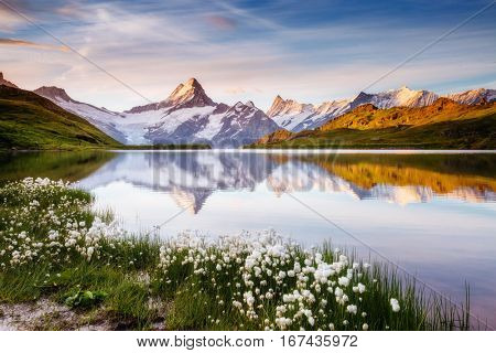 Great view of Bernese range above Bachalpsee lake. Dramatic and picturesque scene. Popular tourist attraction. Location place Swiss alps, Grindelwald valley, Europe. Artistic picture. Beauty world.