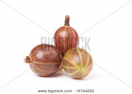 Eatberry lub agrest