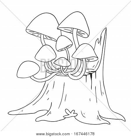 Forest mushrooms. Edible Mushroom honey agaric. Coloring book vector isolated on white background.