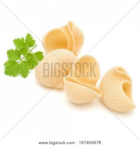 Italian lumaconi isolated on white background. Lumache, snailshell shaped pasta.