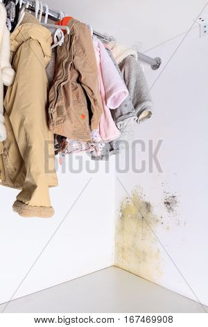 Persistent mold in wardrobe on wall and shelves. Hanging kids clothes on the rack.