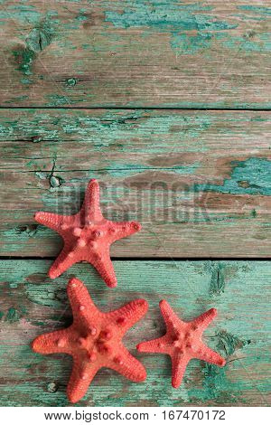 Shell And Starfish Frame With Space On Wooden Old Background.