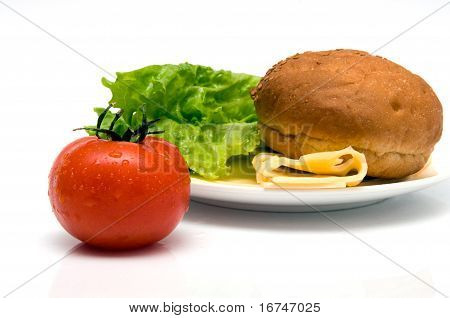 Cibo bottura
