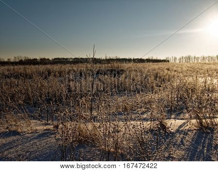 Rural landscape in winter, Tula Region, Russia