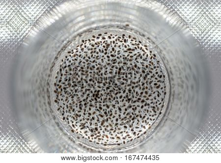 chia seeds look like microbiology analysis bottom of glass