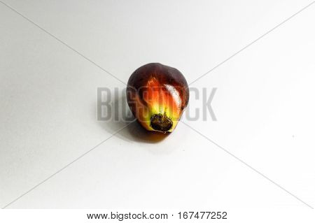 Oil palm fruits on white background.Commercial palm oil cultivation.