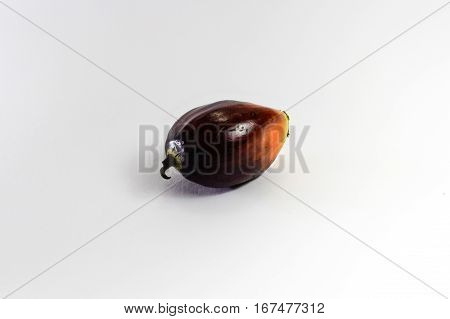 Oil palm fruits on white background.Commercial palm oil cultivation.