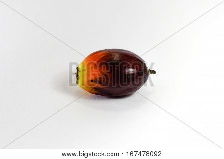 Oil palm fruits on white background.Commercial palm oil cultivation.