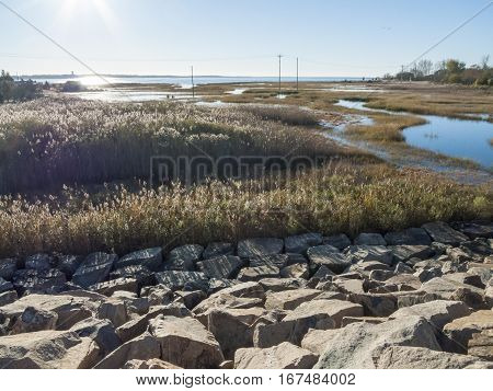 View of flooded marshes bordering Buzzards Bay during a spring tide