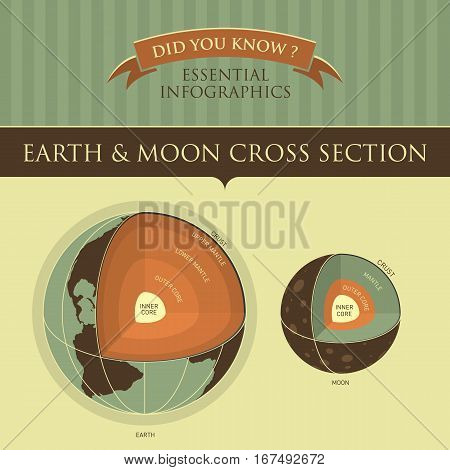 Vector Infographic - Earth and Moon Cross Section