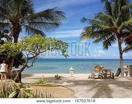 Exit on the coast of the azure sea. Palm trees and frangipani tree. Island Koh Samui Thailand