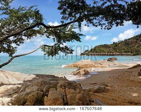 The sandy shores of the azure sea. Waves and trees. Koh Samui Thailand