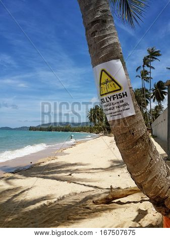 The sandy shores of the azure sea. Waves and palm tree with a warning sign. The inscription on the palm:Jellyfish stings can be extremely painful. Please use caution when swimming. Koh Samui Thailand