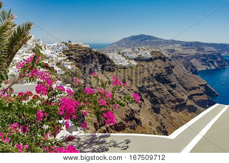 Balcony with bougainvillea. In the background you see the city of Fira Santorini island. 13/08/2016