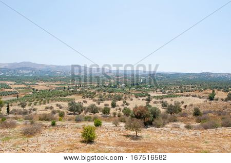 Cretan Landscape With Olive Trees During The Midday. Greece.