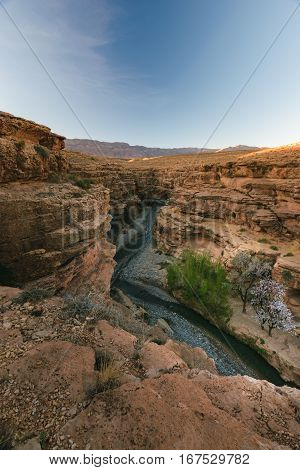 Nice overlook over the Gorges des Berrem near Midelt in Morroco with some mountains in the distance and lightning trees in the foreground.