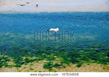 Coastal Landscapes In The Village Of Cedeira