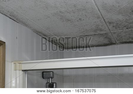 Detail of a dirty and modly roof