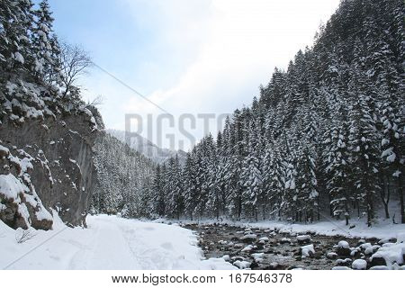 Beautiful Valley With Snow And Trees - Tatra Mountains