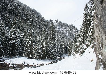 Tatra Mountains During Winter - Snow And Trees