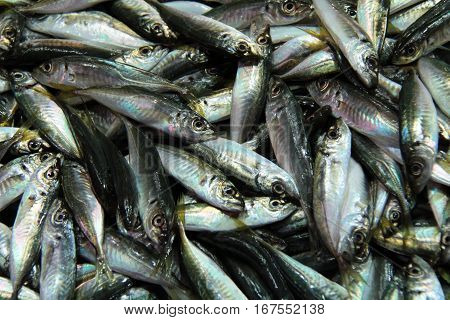 Piles of freshly caught fish at local's market as a background