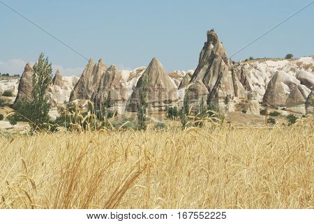 Mushroom Formation Rocks, Near Goreme, Capadoccia, Turkey.