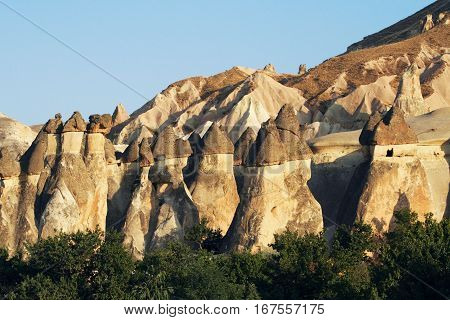 Forest Of The Mushrooms - Gelogical Forms - Capadoccia.