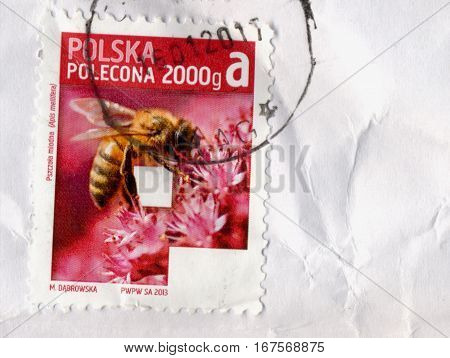 Stamp Of Poland