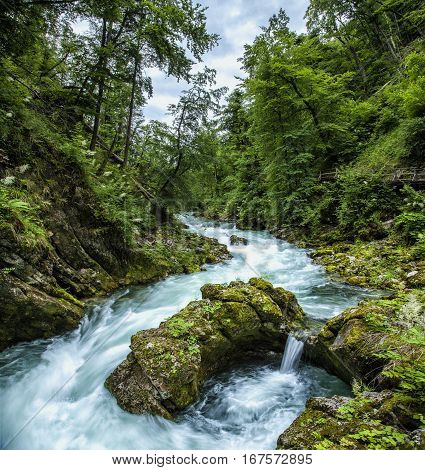 Radovna river meanders at the Vintgar Gorge, Slovenia