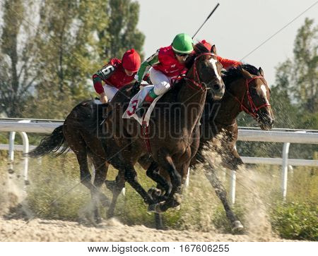 Horse race for the traditional prize Bolshoi Letni in Pyatigorsk,the largest in Russia.