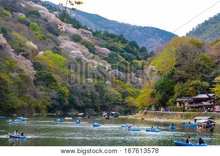 KYOTO, JAPAN - APRIL 6, 2016 - Young lovers and families paddle rowboats up the Katsura River in Kyoto to enjoy the spring cherry blossoms