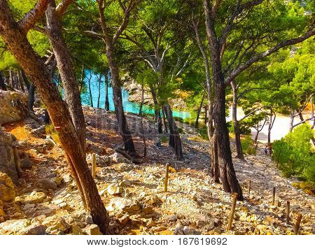 Calanque Between Marseille And Cassis, Provence, France