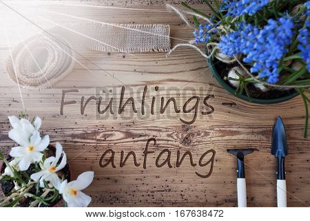 German Text Fruehlingsanfang Means Beginning Of Spring. Sunny Spring Flowers Like Grape Hyacinth And Crocus. Gardening Tools Like Rake And Shovel. Hemp Fabric Ribbon. Aged Wooden Background