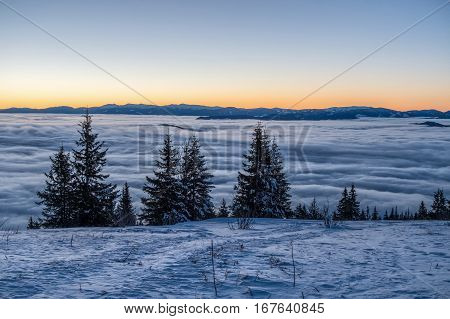 Amazing Sunny Morning In Winter Little Fatra Mountains