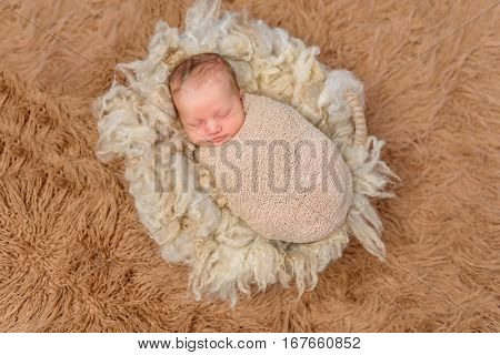 sweet sleeping swaddled newborn on fluffy terry blanket, top view