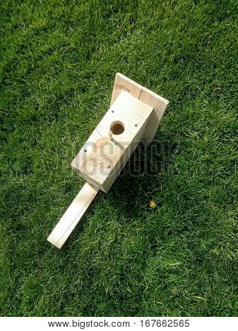 Wooden hand made birdhouse on a green grass
