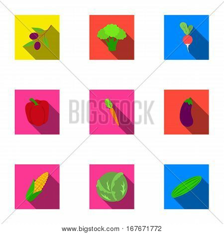 Vegetables set icons in flat style. Big collection of vegetables vector symbol stock
