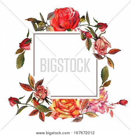 Wildflower rose flower frame in a watercolor style isolated. Full name of the plant: rose, hulthemia, rosa. Aquarelle wild flower for background, texture, wrapper pattern, frame or border.